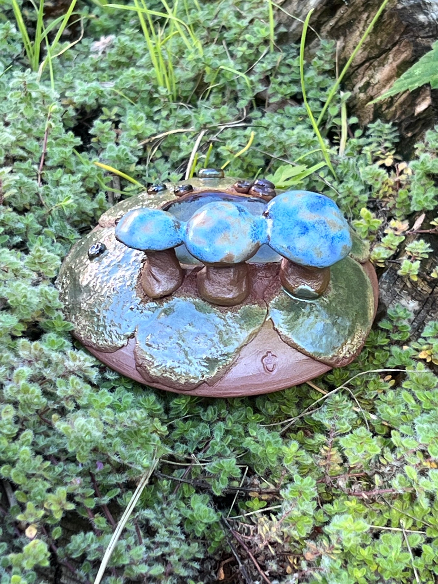 Faerie Garden Ornament Mushroom Pool