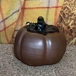 Miniature Pumpkin 2