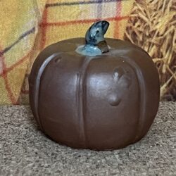 Miniature Pumpkin 3