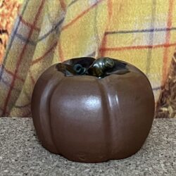 Miniature Pumpkin 1